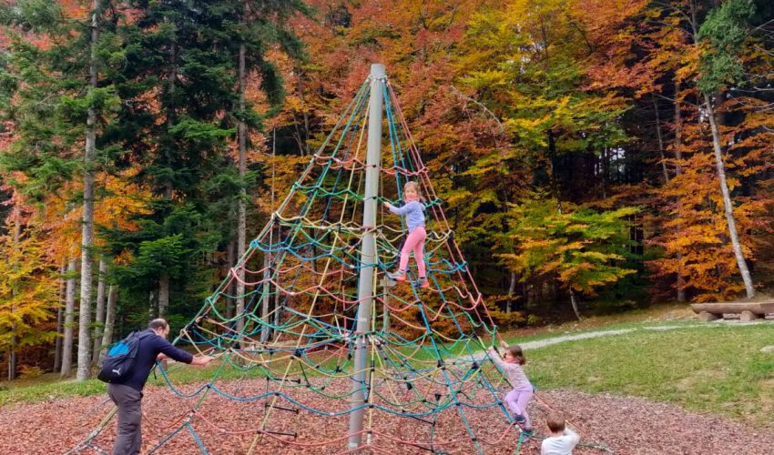 🍂 Foliage all&rsquo;Alpino: 20 Settembre &ndash; 1 Novembre